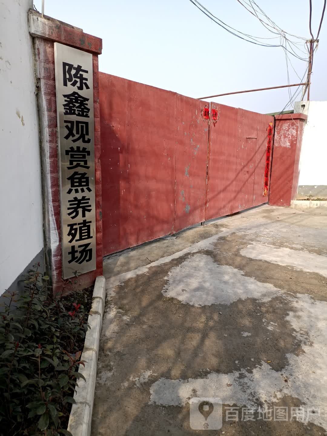 如何聯系這些推薦的龍魚養殖場？