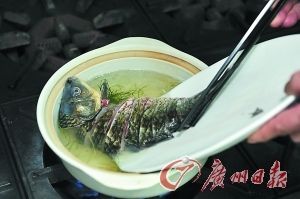一條龍魚三條飛鳳五條虎魚什么意思：一龍三鳳五虎，魚缸里的風水密碼與生命哲學 一條龍魚三條飛鳳五條虎魚什么意思：一龍三鳳五虎，魚缸里的風水密碼與生命哲學 龍魚百科 第1張