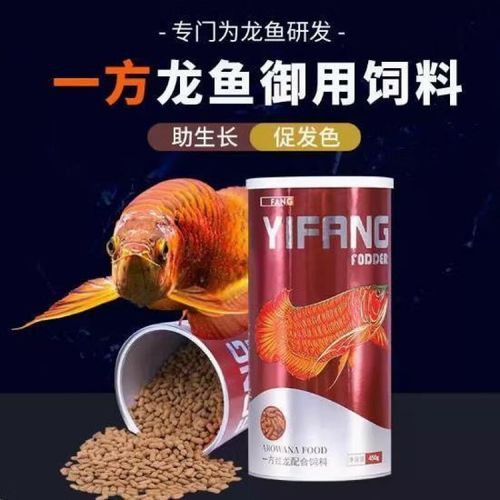 紅龍魚增色飼料有哪些推薦