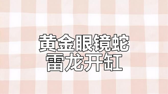 雷龍魚缸過濾