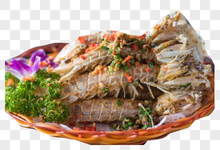 三亞飛龍魚圖片大全（“三亞飛龍魚圖片大全”可以嘗試通過以下渠道獲取信息）