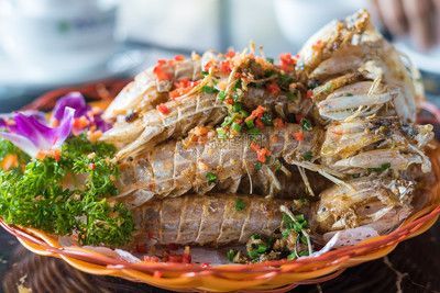 三亞飛龍魚圖片大全（“三亞飛龍魚圖片大全”可以嘗試通過以下渠道獲取信息）