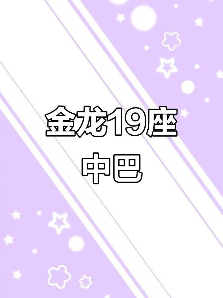 金龍19座中巴車的詳細圖片