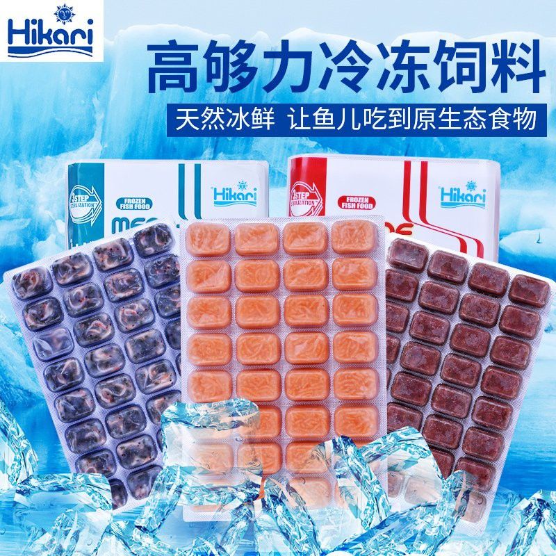 六角恐龍魚死了又復活了