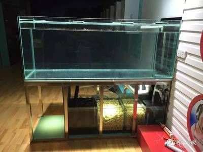 養(yǎng)龍魚用什么過濾最好用呢：養(yǎng)龍魚用什么過濾最好用