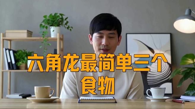 養六角恐龍魚需要準備什么用品