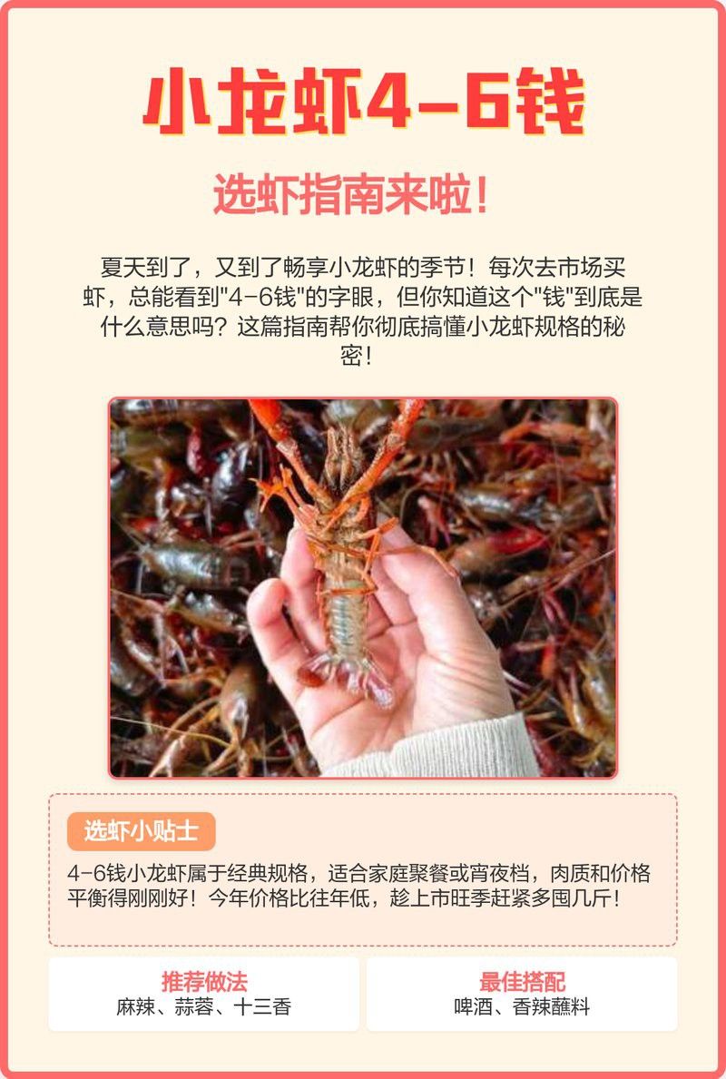 如何辨別紅龍龍蝦的真偽？