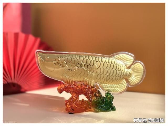 怎確定觀賞金龍魚心片證書真假（如何辨別龍魚品牌真偽） 怎確定觀賞金龍魚心片證書真假（如何辨別龍魚品牌真偽） 龍魚百科 第1張