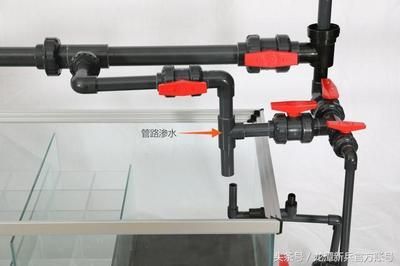 彩蝶龍潭新兵魚缸安裝視頻：彩蝶龍潭新兵魚缸安裝教程