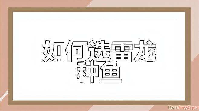 如何挑選新鮮的雷龍魚？ 如何挑選新鮮的雷龍魚？ 龍魚百科 第4張