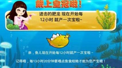 龍魚飼料搭配建議：自制龍魚飼料配方，龍魚飼料保存方法，龍魚飼料營養價值對比