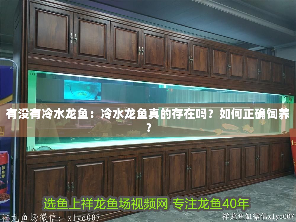 有沒有冷水龍魚：冷水龍魚真的存在嗎？如何正確飼養？