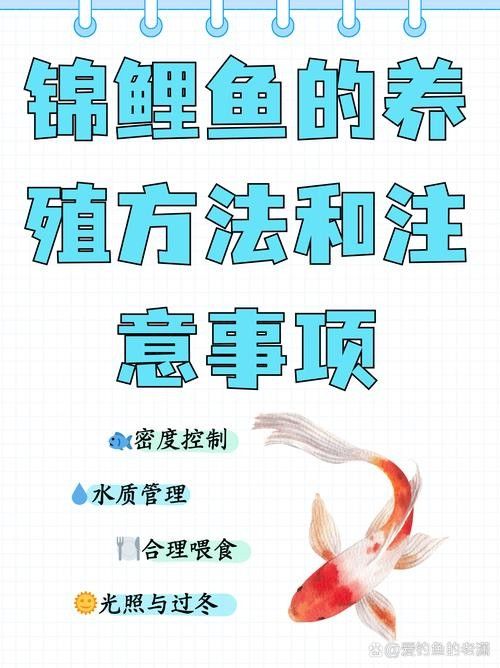 雷龍魚和金魚哪個好養(yǎng)活