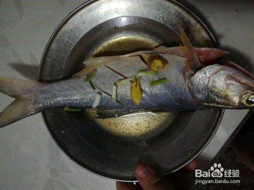 龍魚怎么蒸：清蒸龍魚怎么做？ 龍魚怎么蒸：清蒸龍魚怎么做？ 龍魚百科 第2張