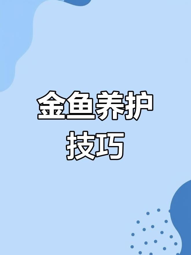 金魚日常護理要點