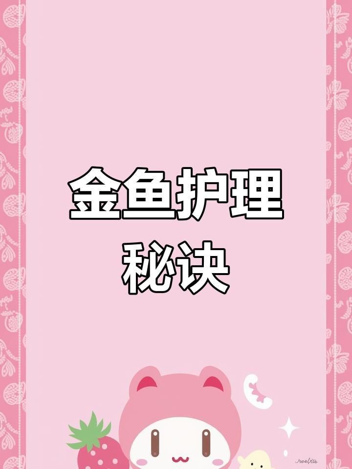 金魚日常護理要點