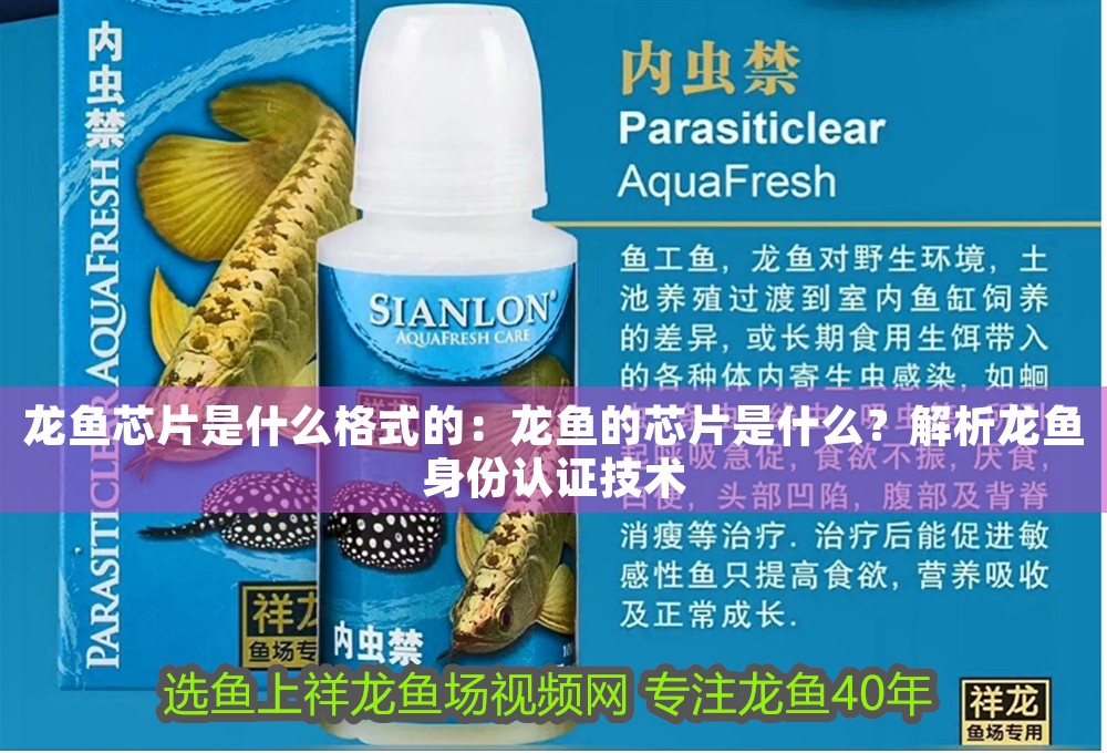 龍魚芯片是什么格式的：龍魚的芯片是什么？解析龍魚身份認(rèn)證技術(shù)