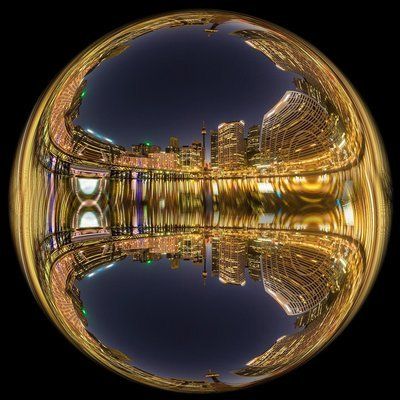 金龍魚是哪的公司（金龍魚是哪個公司）