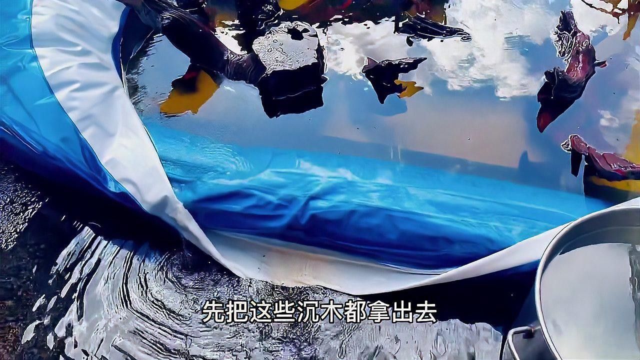 龍魚缸沉木消毒用哪種方法最好