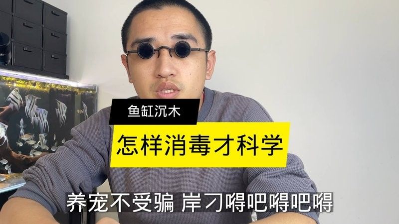 龍魚缸沉木消毒用哪種方法最好