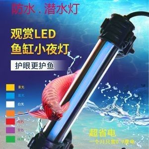 一方龍魚燈用哪個適合紅龍魚：如何選擇紅龍魚的燈光 一方龍魚燈用哪個適合紅龍魚：如何選擇紅龍魚的燈光 龍魚百科 第3張