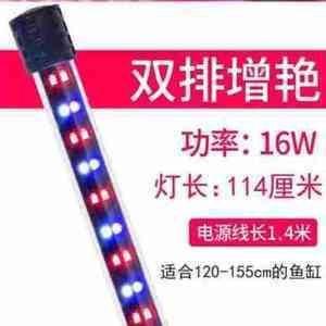 金龍魚國標電源線有沒有米標：金龍魚國標電源線是否具有米標 金龍魚國標電源線有沒有米標：金龍魚國標電源線是否具有米標 龍魚百科 第1張