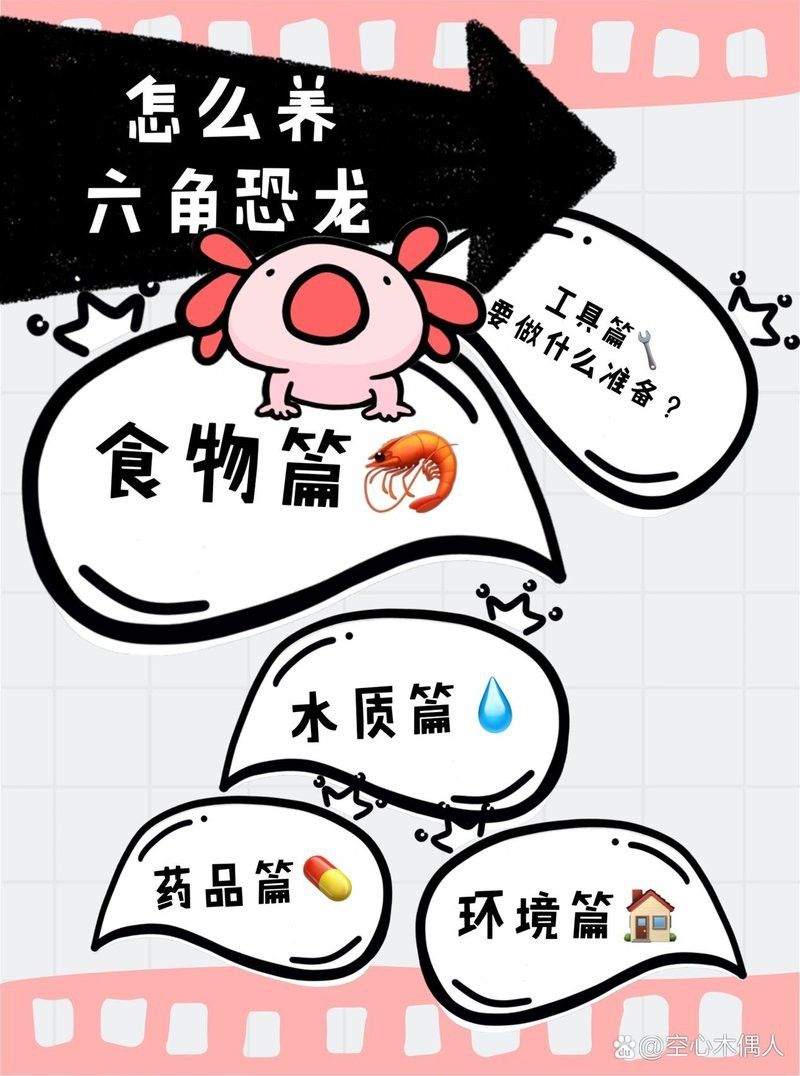 恐龍魚能不能吃熟肉類的