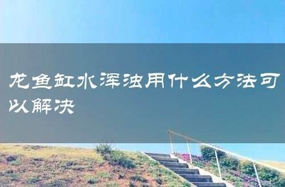 龍魚缸水突然變渾濁：如何預防龍魚缸水突然變渾濁的問題