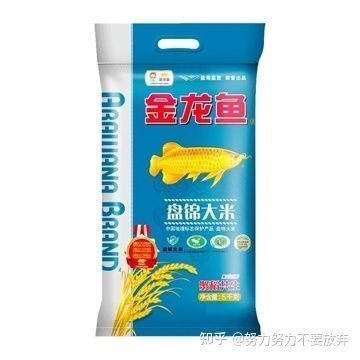 紅龍魚視頻高清在線觀看全集下載（紅龍魚視頻高清在線觀看全集下載免費(fèi)）