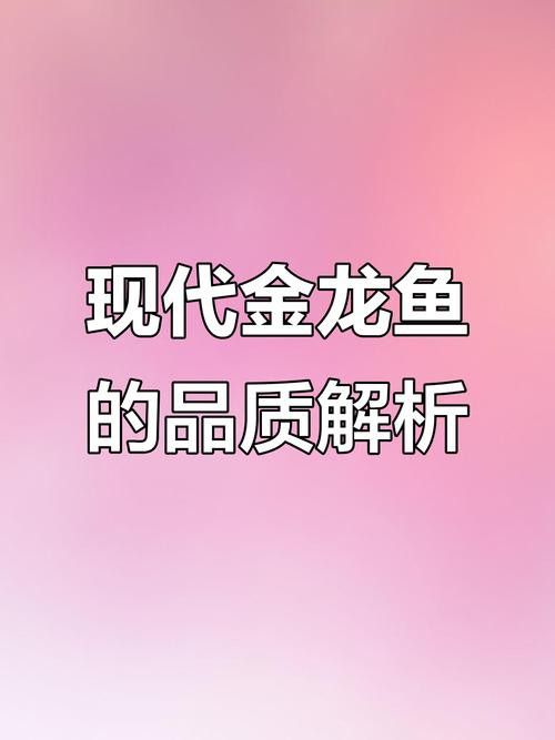 沈陽龍魚價格表圖片大全