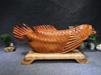 緬甸金龍魚（緬甸政府已立法禁止捕撈金龍魚） 緬甸金龍魚（緬甸政府已立法禁止捕撈金龍魚） 龍魚百科 第2張