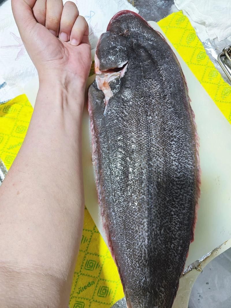龍利魚和龍魚的區別是什么