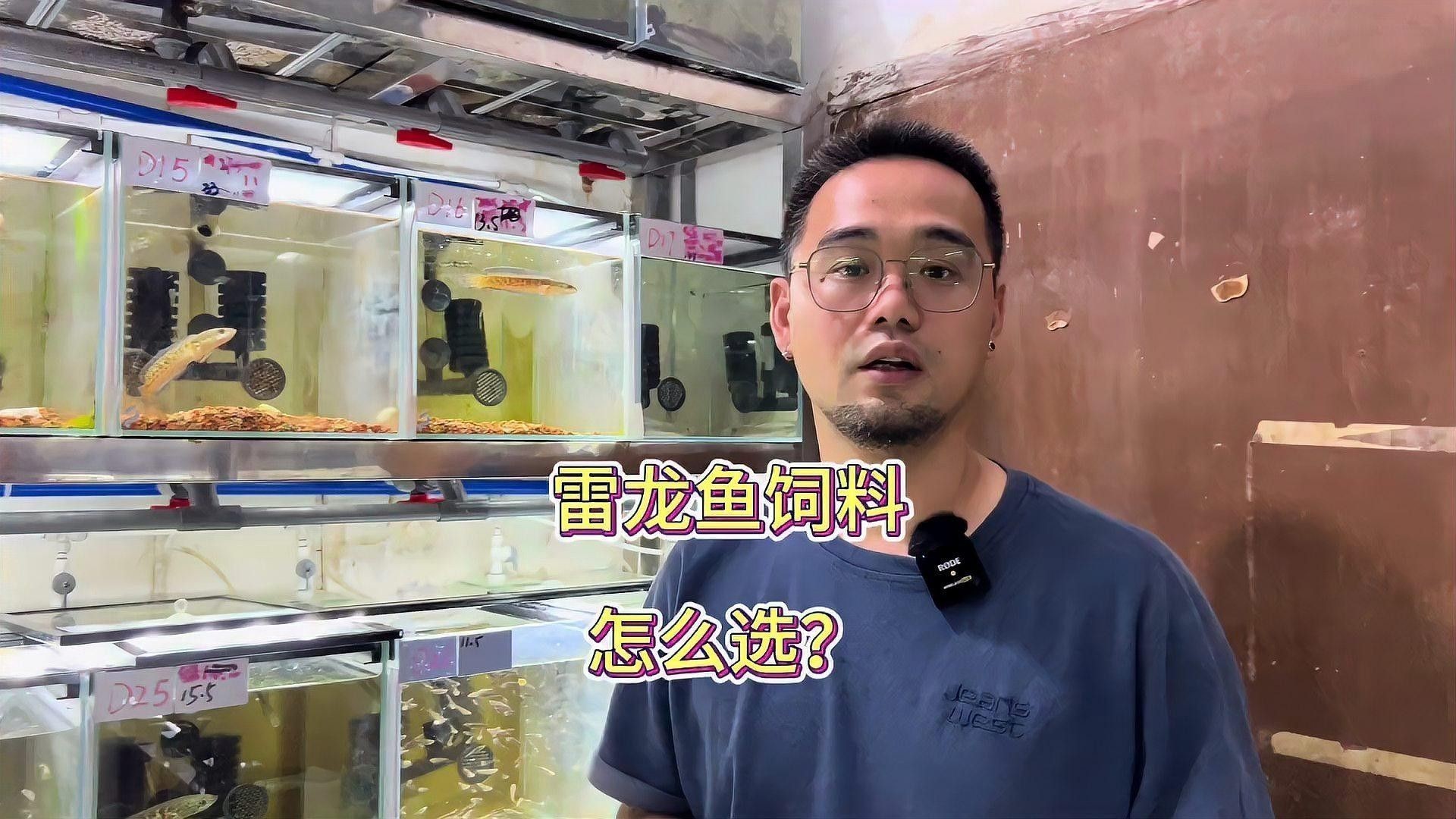 雷龍魚(yú)喂什么長(zhǎng)的快