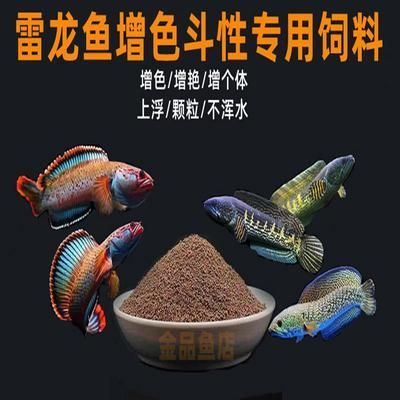 雷龍魚 飼料：雷龍魚飼料保存方法