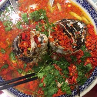 九龍魚頭在長沙有幾家店面:九龍魚頭在長沙有幾家店面? 龍魚百科 第2張 九龍魚頭在長沙有幾家店面:九龍魚頭在長沙有幾家店面? 九龍魚頭在長沙有幾家店面:九龍魚頭在長沙有幾家店面? 龍魚百科 第2張