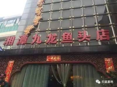 九龍魚頭在長沙有幾家店面:九龍魚頭在長沙有幾家店面? 龍魚百科 第1張 九龍魚頭在長沙有幾家店面:九龍魚頭在長沙有幾家店面? 九龍魚頭在長沙有幾家店面:九龍魚頭在長沙有幾家店面? 龍魚百科 第1張