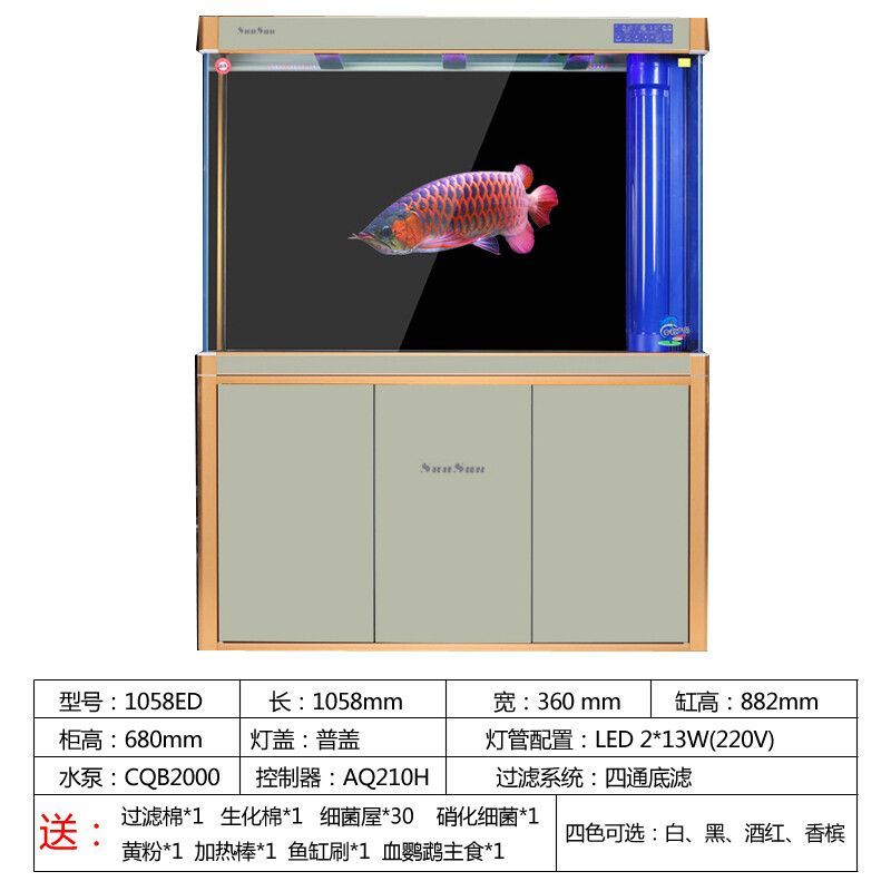 養(yǎng)龍魚(yú)最小尺寸：養(yǎng)龍魚(yú)時(shí)最小尺寸的魚(yú)缸應(yīng)該是多大？