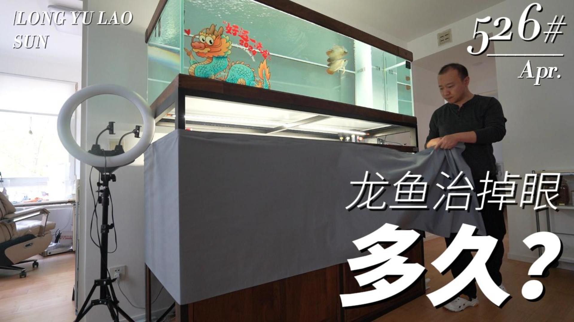 龍魚掉眼手術后多久能恢復