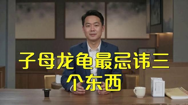 龍龜多久泡一次水合適？ 龍龜多久泡一次水合適？ 龍魚百科 第2張