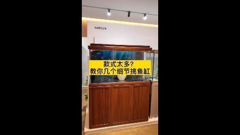 森森魚缸APP的名字叫什么名字（如何在森森之家app用戶交流心得） 森森魚缸APP的名字叫什么名字（如何在森森之家app用戶交流心得） 龍魚百科 第1張