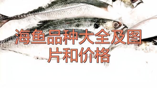 哪種海魚好吃