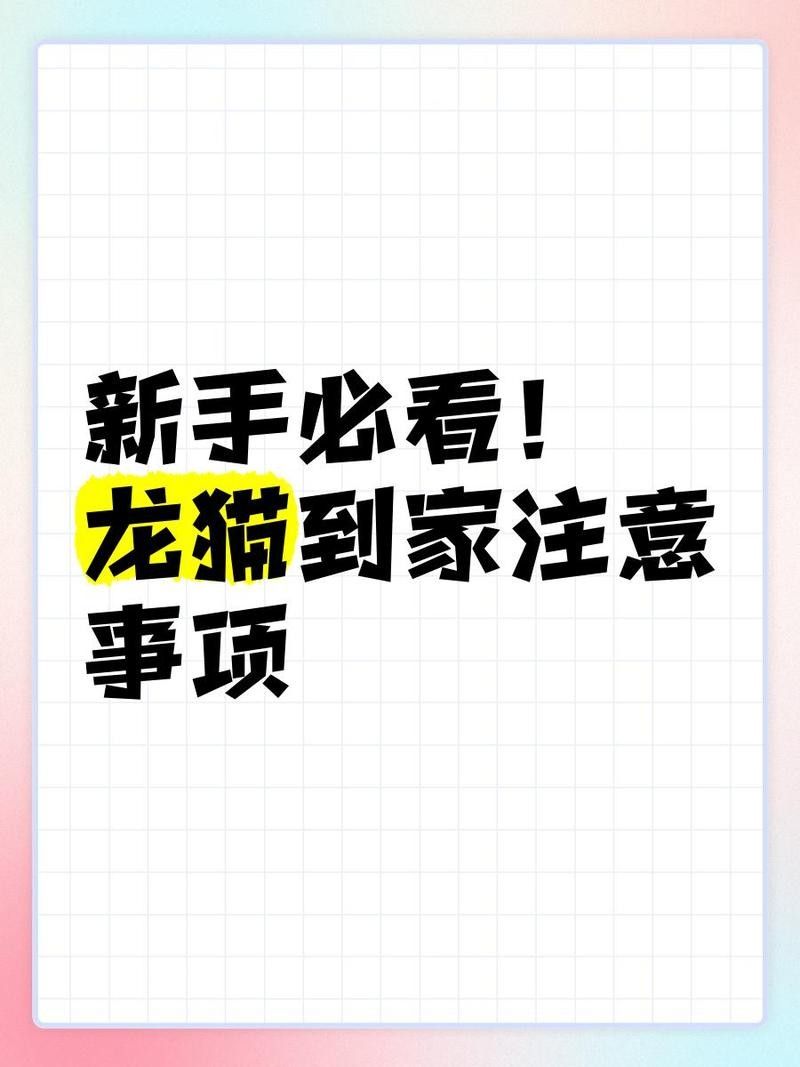 龍貓和貓一起養需要多久才能適應？ 龍貓和貓一起養需要多久才能適應？ 龍魚百科 第10張