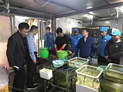 龍魚如何運輸：龍魚缸運輸?shù)脑敿?xì)流程