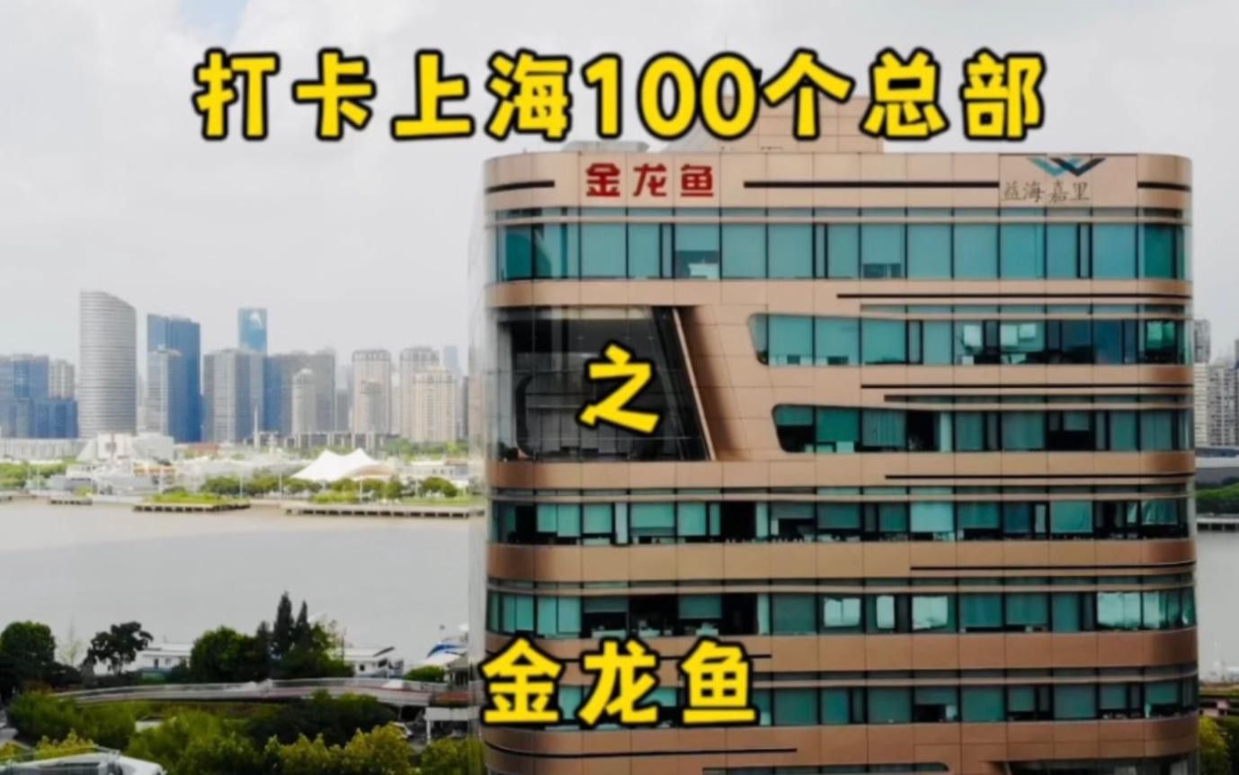 哪種聚財金龍品種最受歡迎？