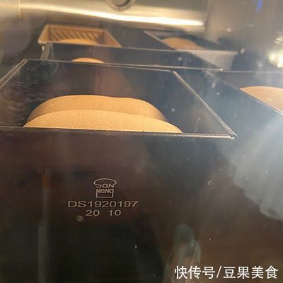 金龍魚適應(yīng)的溫度和濕度 金龍魚適應(yīng)的溫度和濕度 龍魚百科 第1張