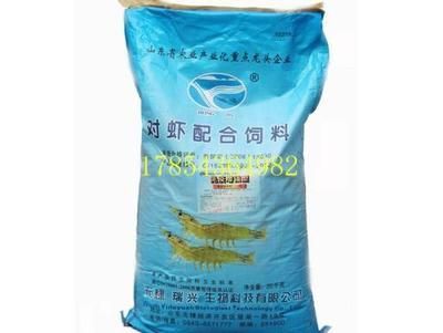 白子紅龍魚：白子龍魚價格多少？全面解析白子龍魚的市場行情與選購指南