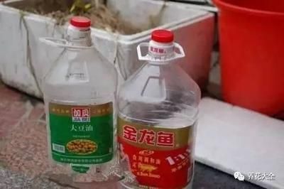 養金龍魚水里用放鹽嗎：養金龍魚需要注意的問題