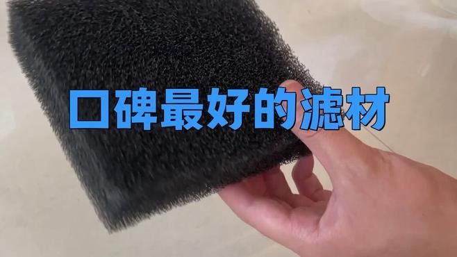 龍魚缸濾材哪幾種最實用