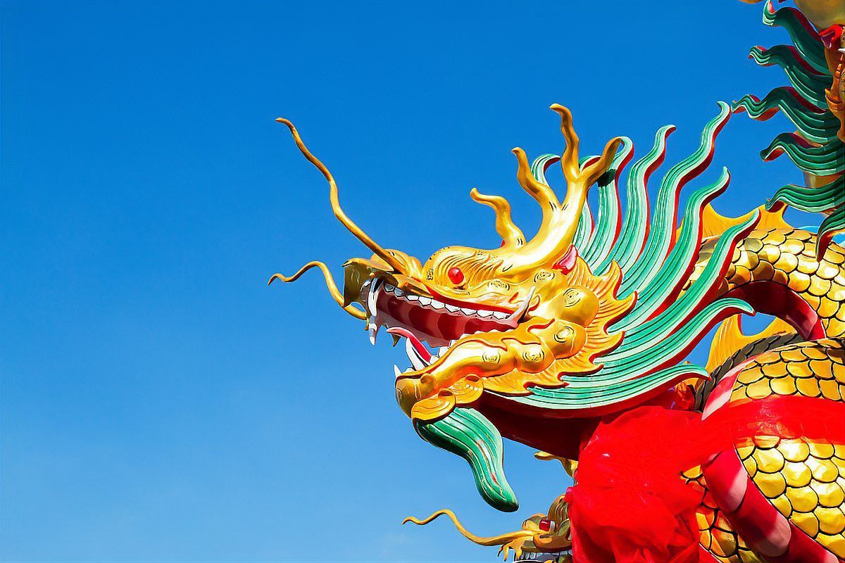 有沒有更霸氣的龍魚詩句？ 有沒有更霸氣的龍魚詩句？ 龍魚百科 第4張