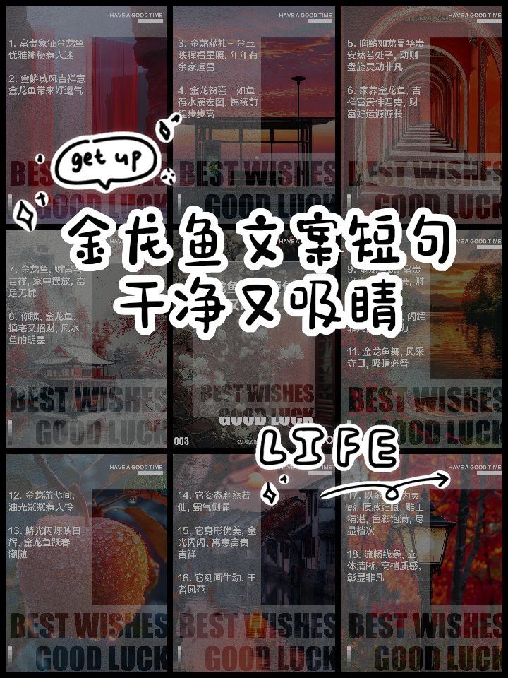 形容金龍魚的成語大全